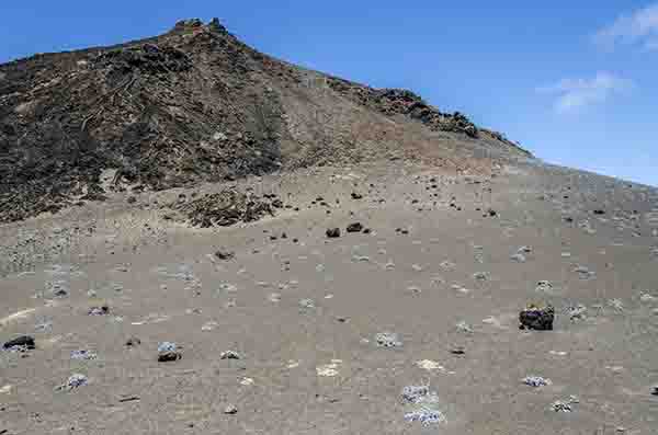 10 - Ecuador - islas Galapagos - isla Bartolome